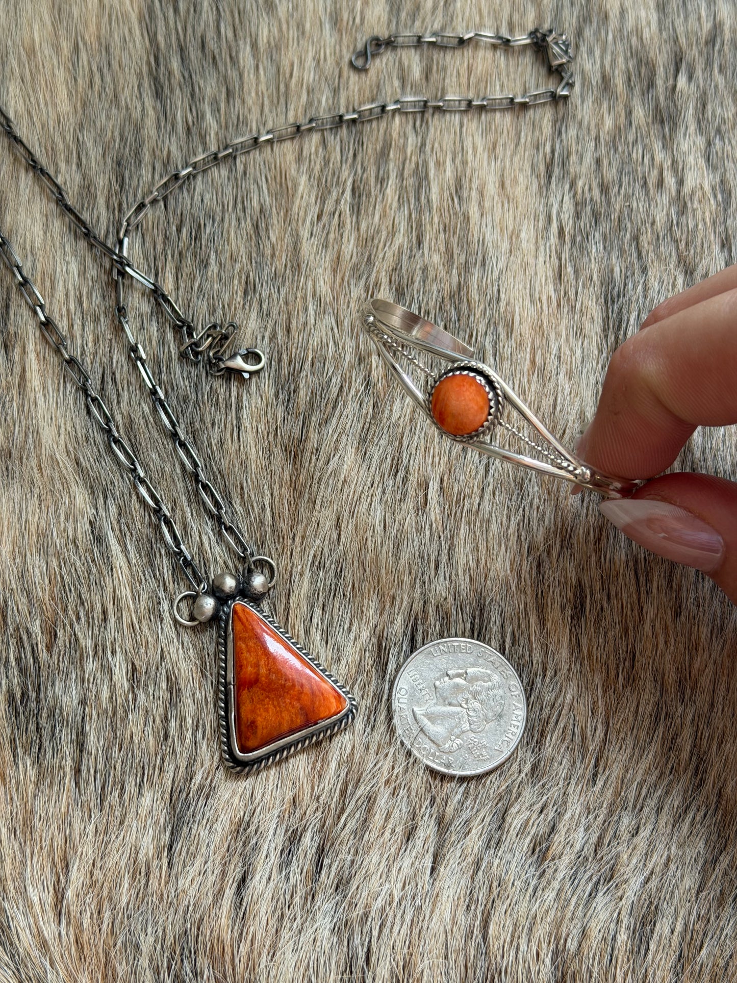 Orange Spiny Bundle