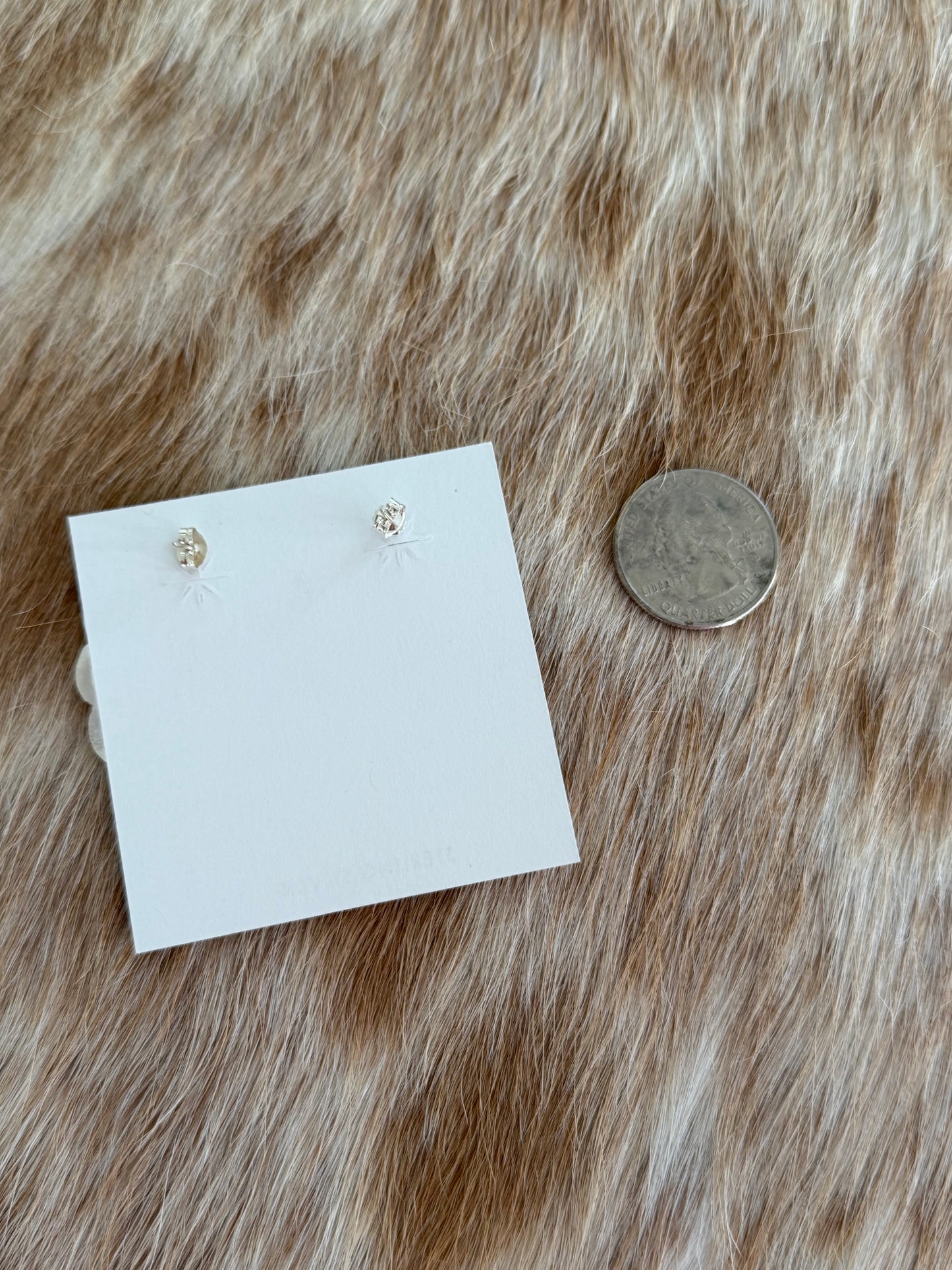 Shiny Sterling Silver Concho Earrings