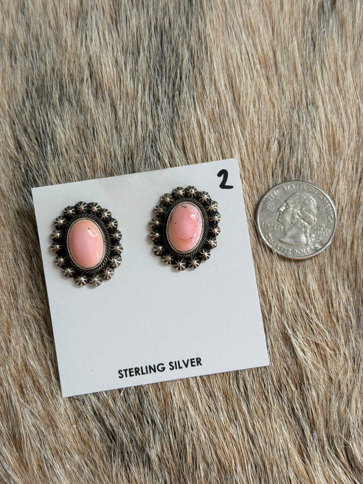 Pink Conch Stud Earrings