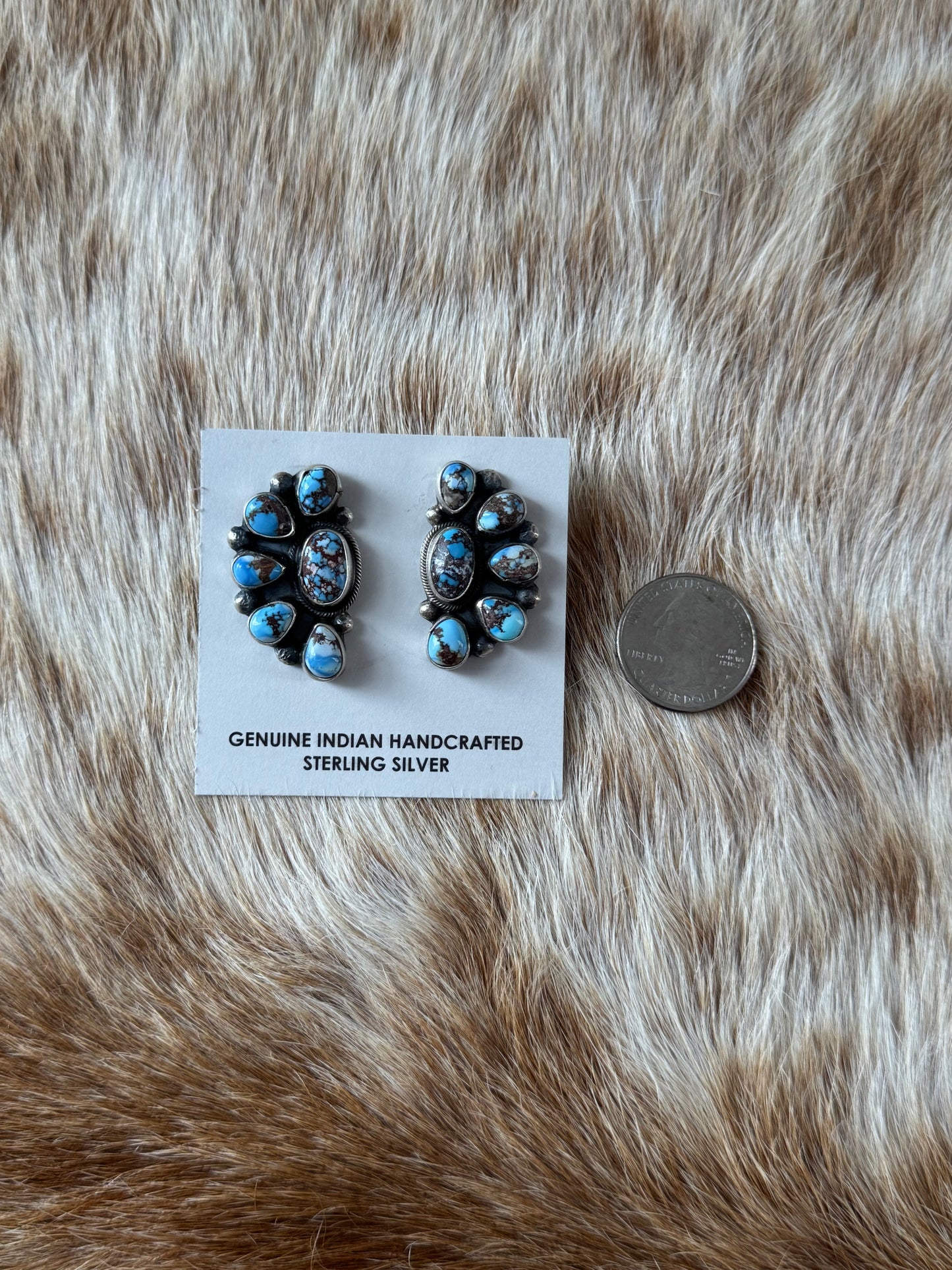 Golden Hills Half Cluster Earrings