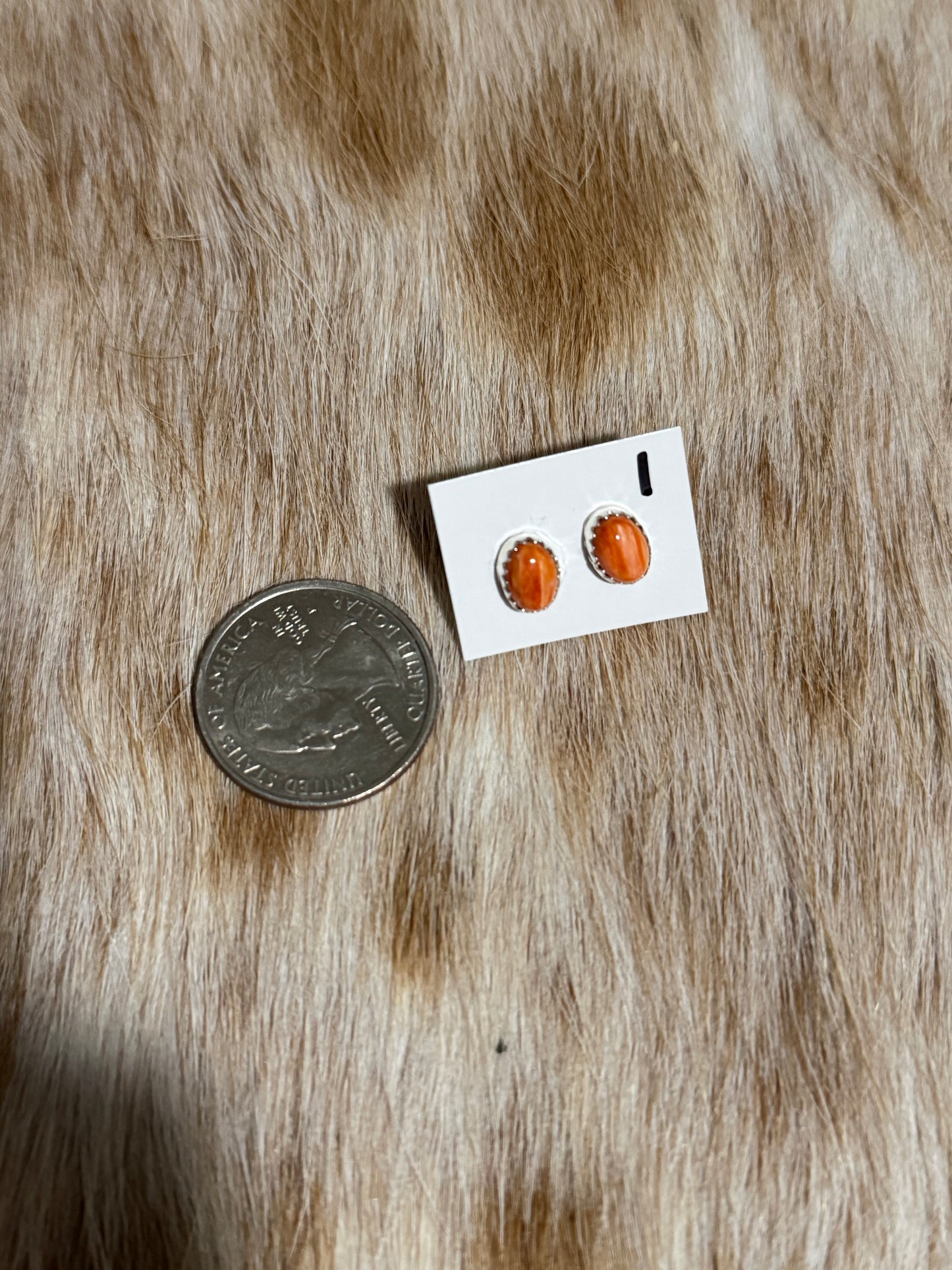 Orange Spiny Oyster Shell Earrings