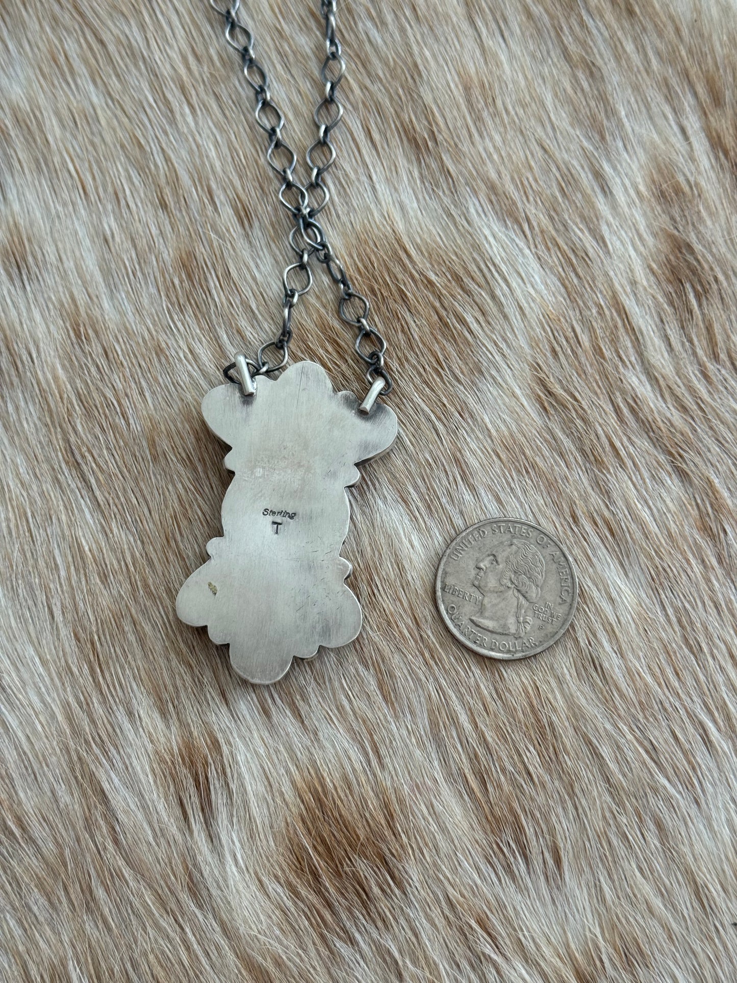 Sonoran Gold Turquoise Liberty Coin Cluster Necklace