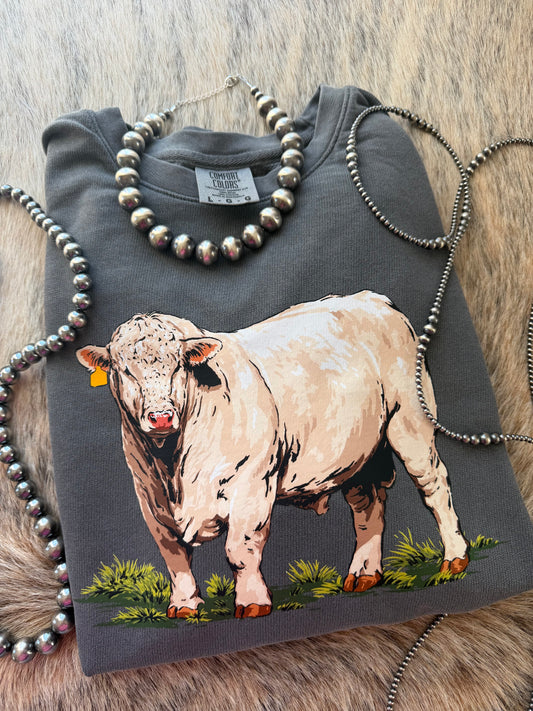 Charolais Bull Sweatshirt