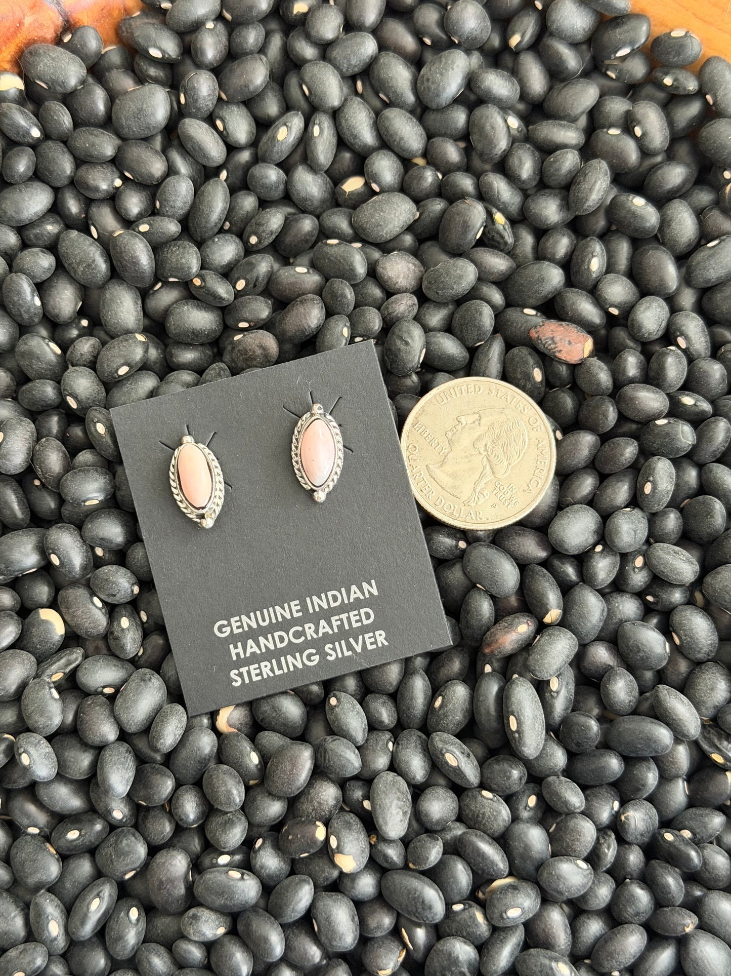 Pink Conch Stud Earrings