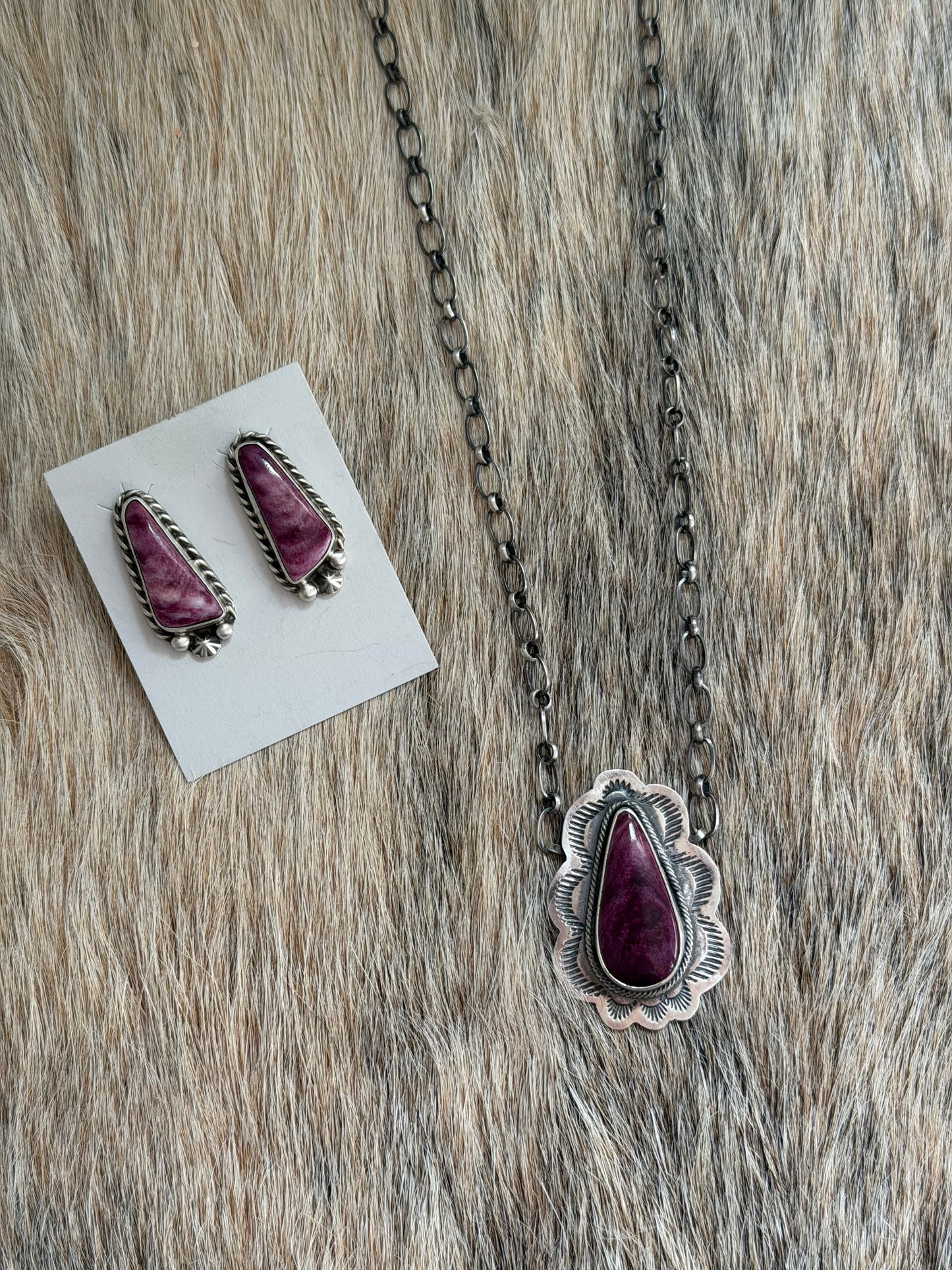 Purple Spiny Bundle