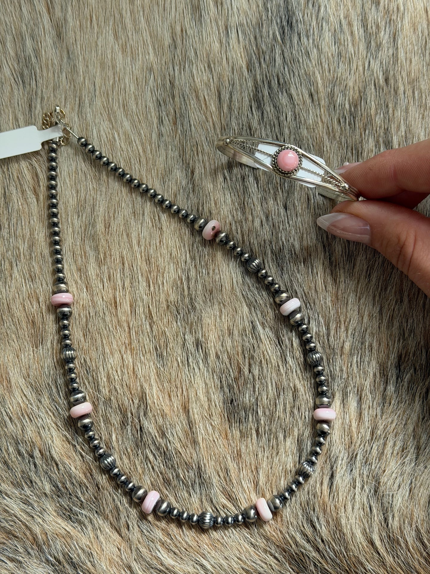 Pink Conch Bundle
