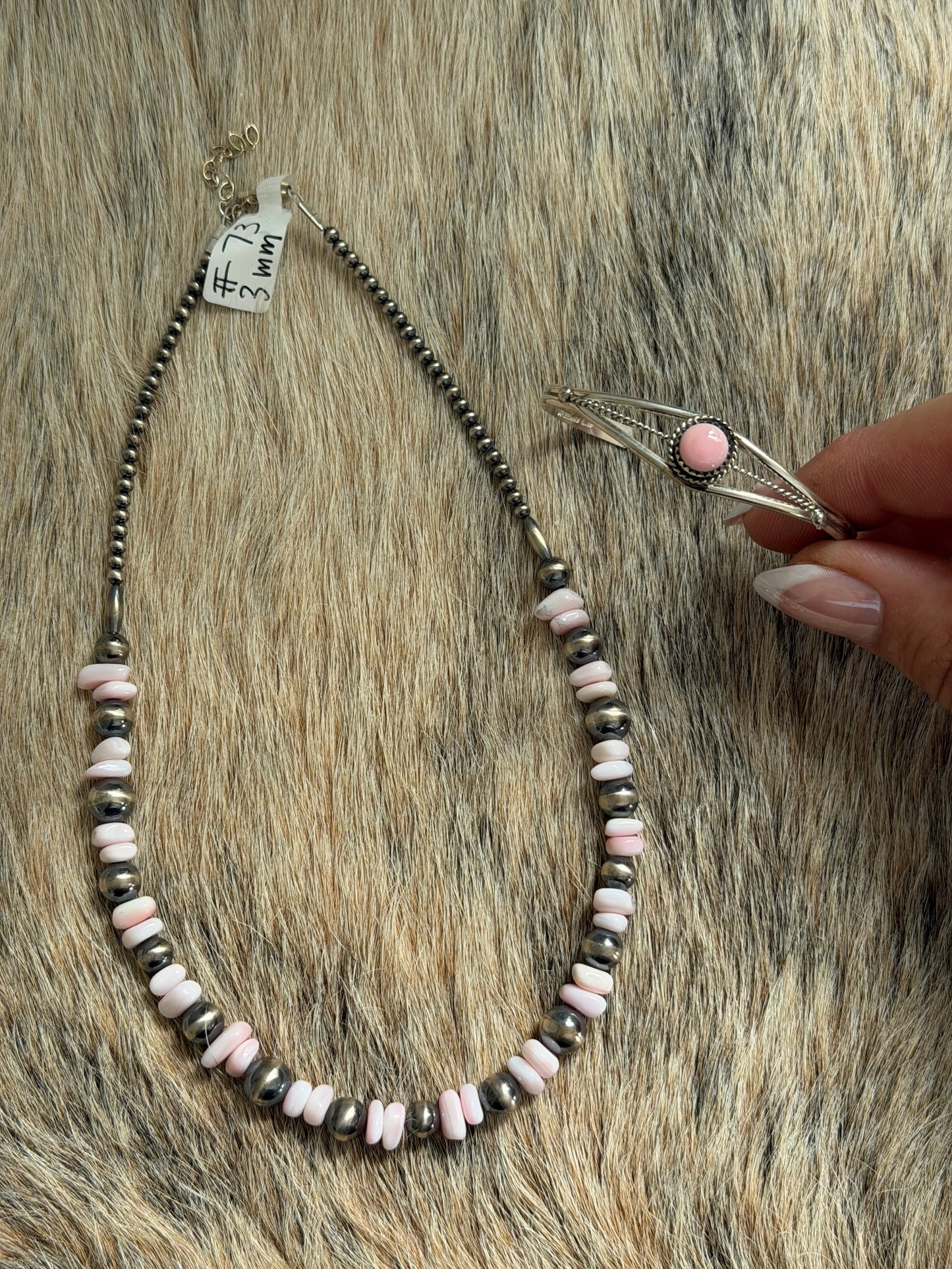 Pink Conch Bundle