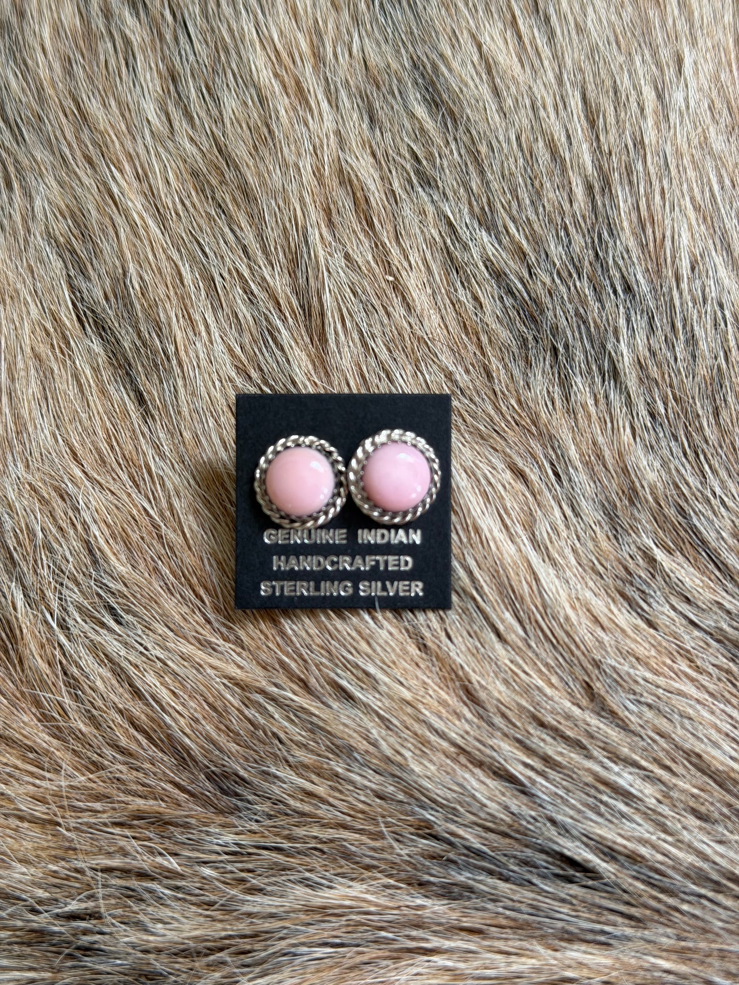 Pink Conch Stud Earrings