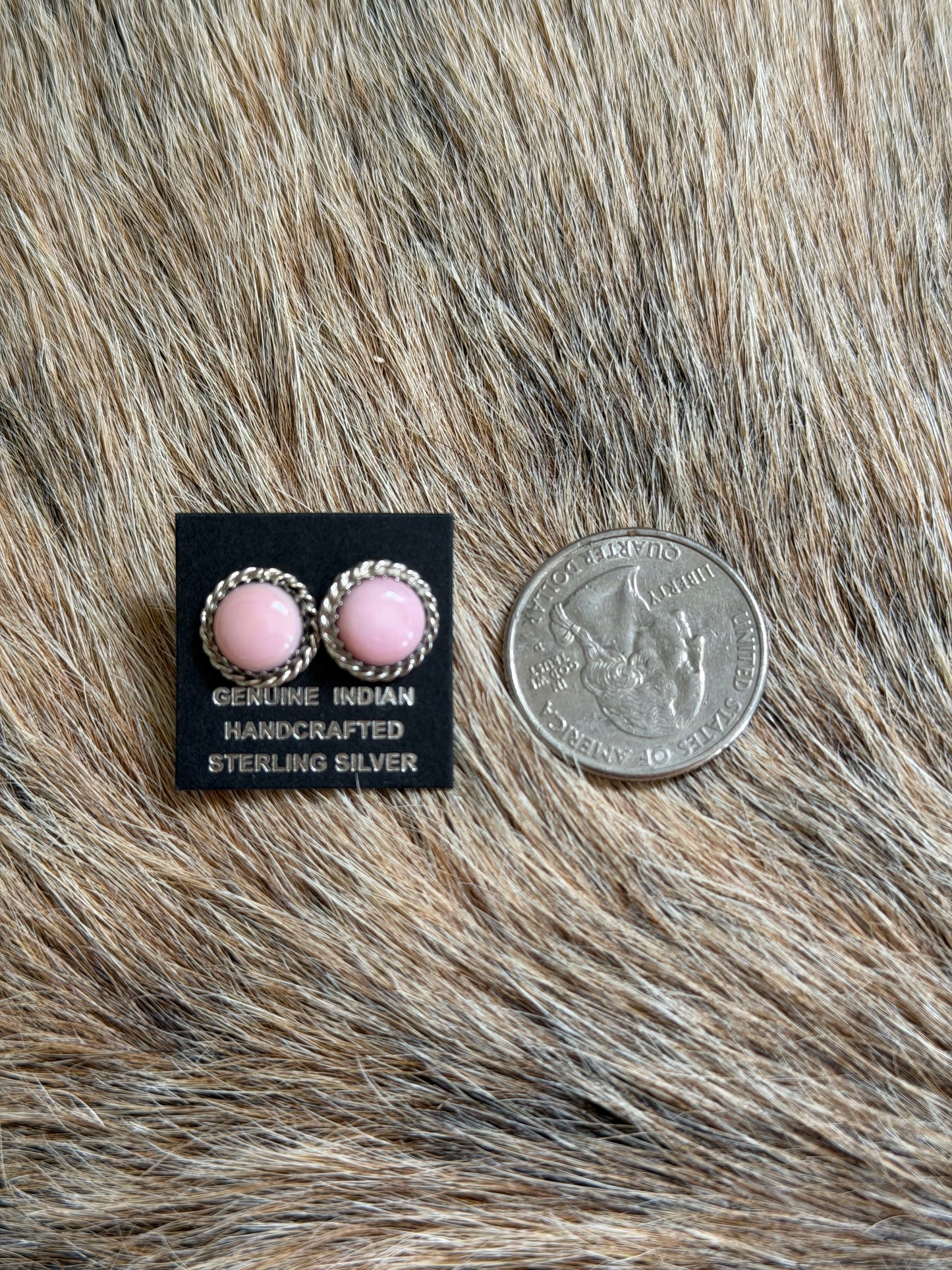 Pink Conch Stud Earrings