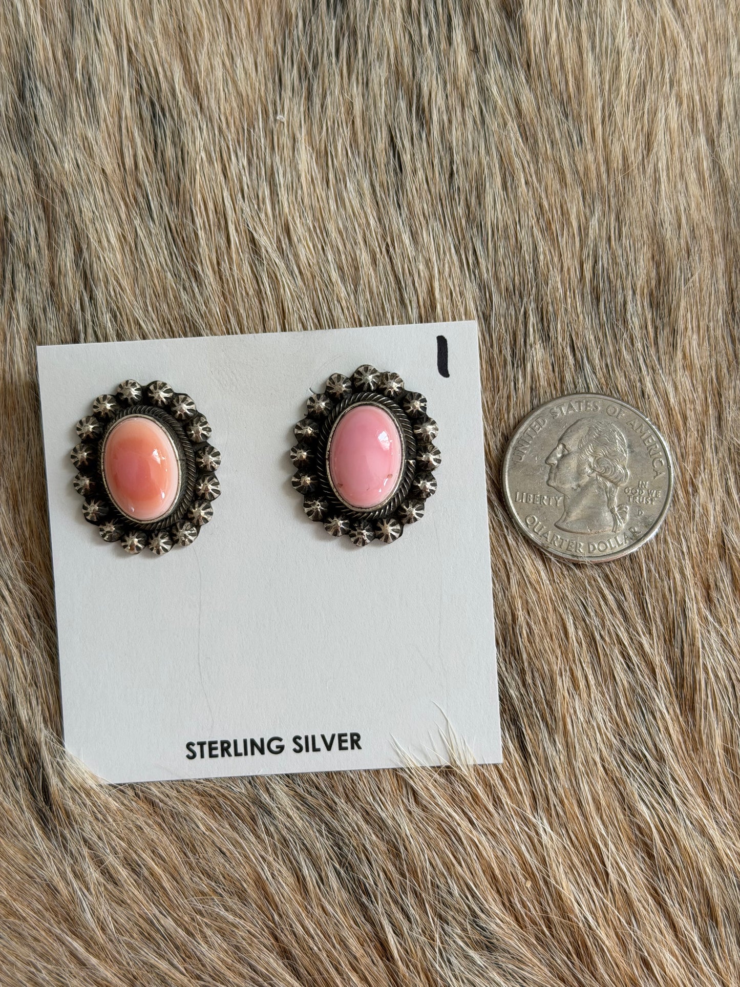 Pink Conch Stud Earrings