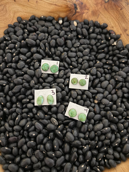 Sonoran Gold Turquoise Earrings