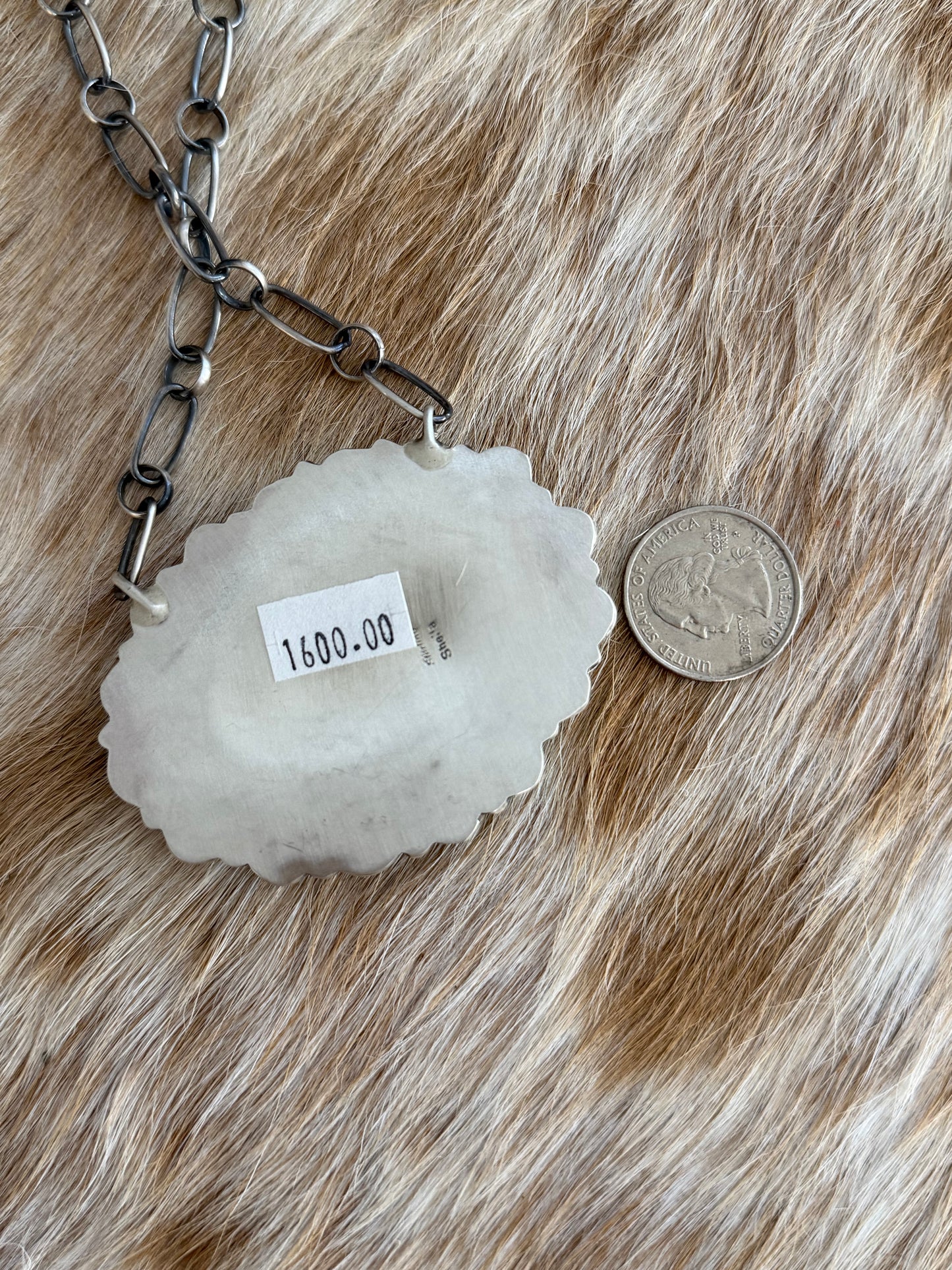 Sonoran Gold Turquoise and Purple Spiny Cluster Necklace