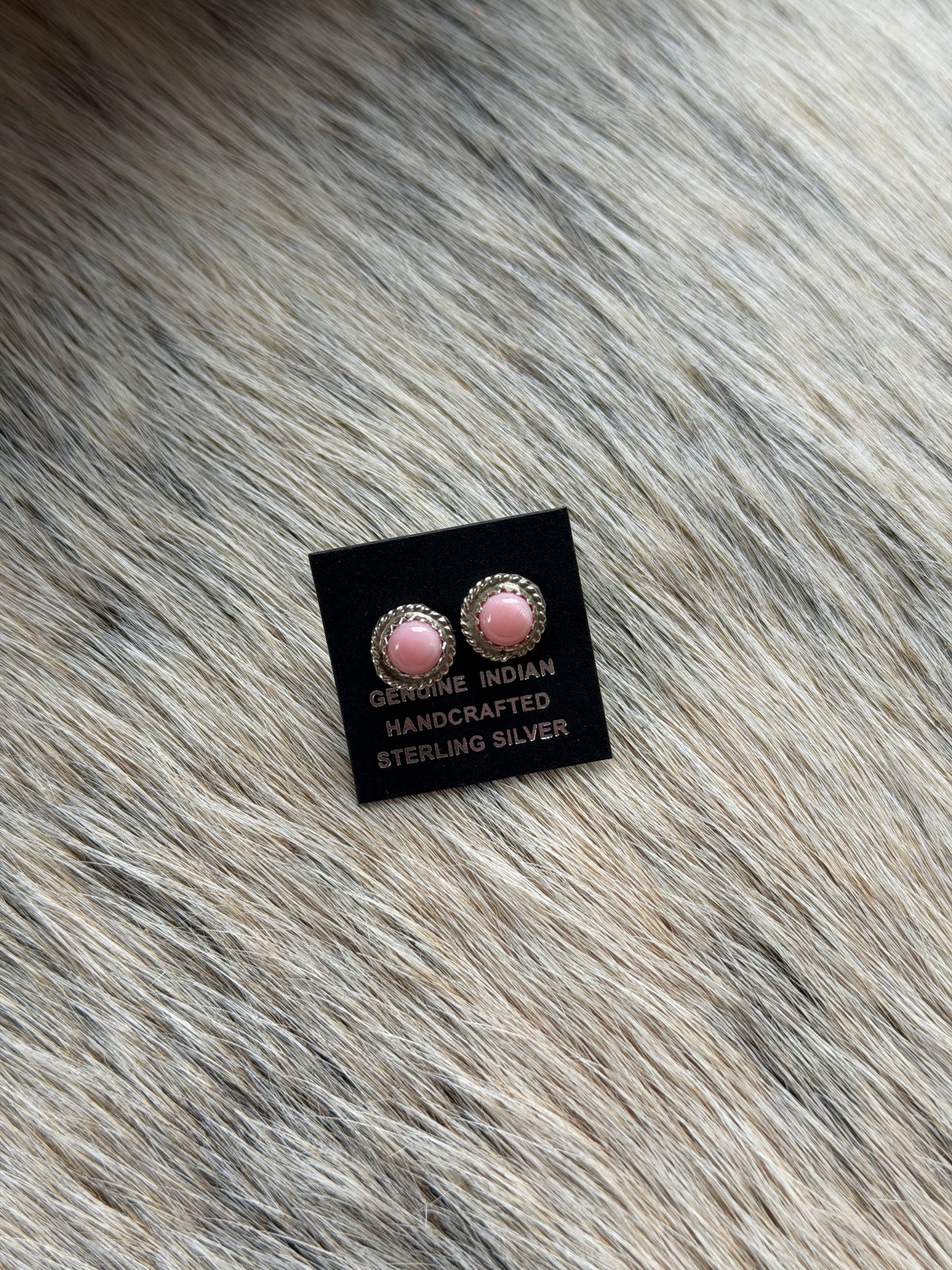 Pink Conch Dainty Earrings