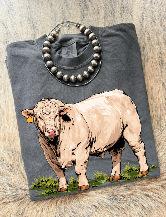Charolais Bull Tee