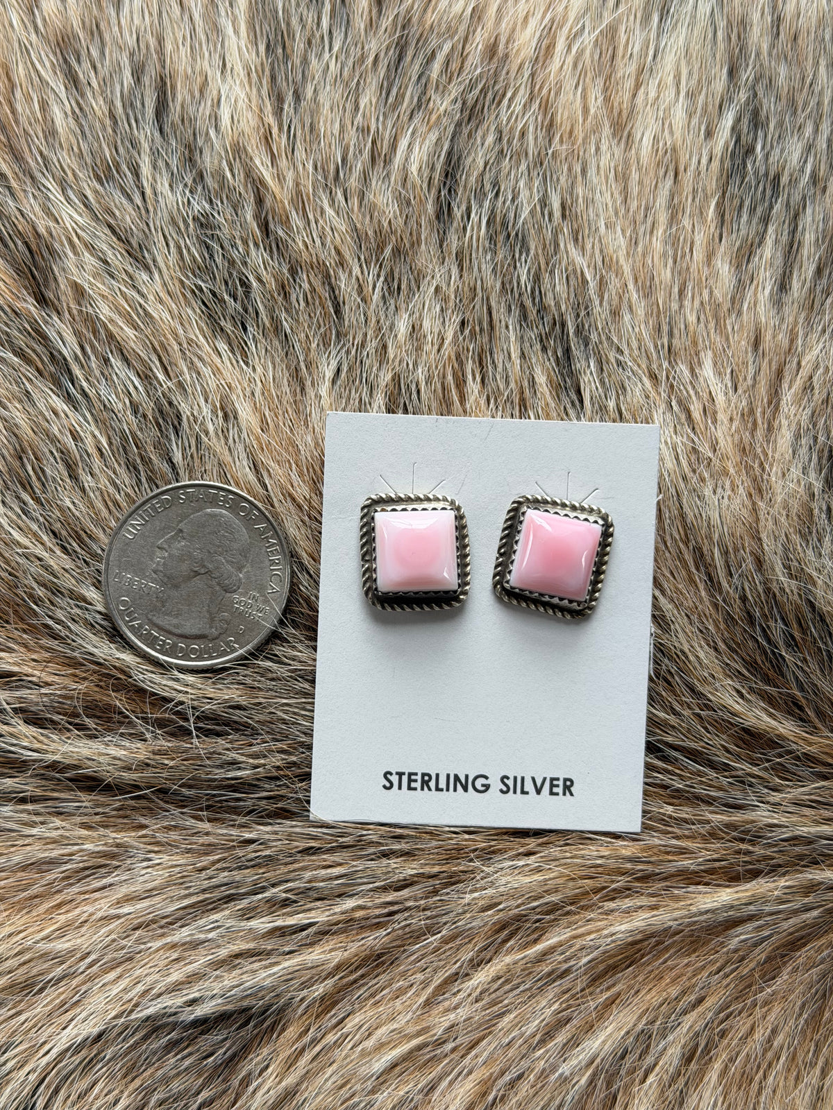 Pink Conch Square Stud Earrings