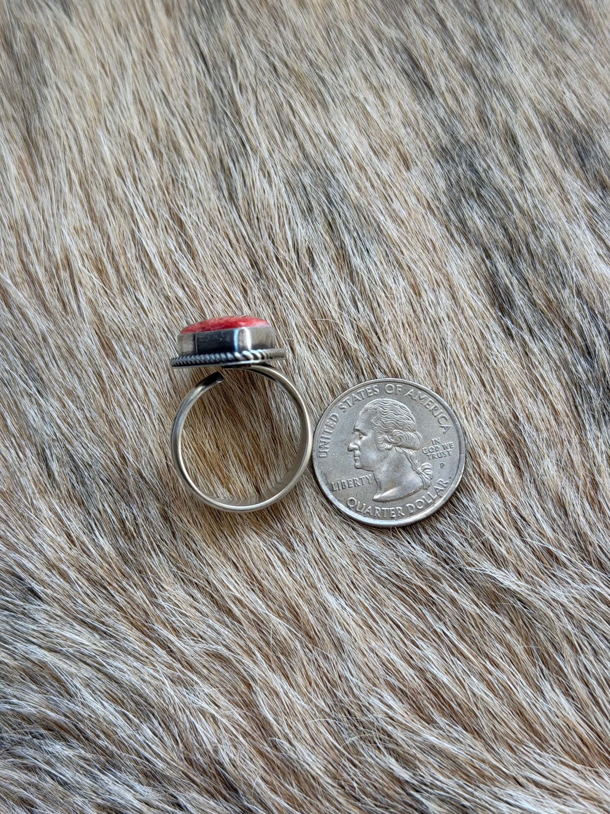 Adjustable Size 6-11 Spiny Oyster Shell Ring